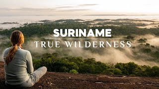 Download lagu Suriname Revealed: Untouched Wilderness and Diverse Wildlife | 4K mp3 Download lagu Suriname Revealed: Untouched Wilderness and Diverse Wildlife | 4K mp3