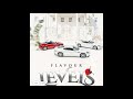 Flavour _ Levels