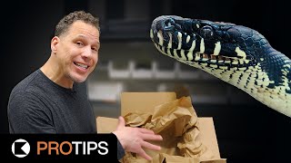 How to Ship Reptiles - STEP BY STEP | #ProTips