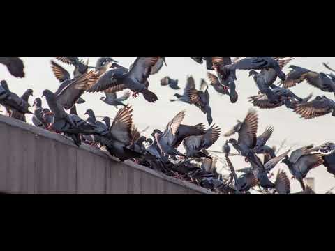 Tony Speedy 2023 (((1-10/ makina & hardcore)))