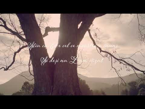 Remus Tamasan & Andreea Mois -  Domnul meu [Official Audio]