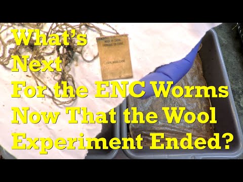 Beyond the wool fabric test in the 88-day ENC worm bins for feeding #7 - vermicompost