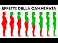 Cosa Succede Al Tuo Corpo Se Cammini Ogni Giorno
