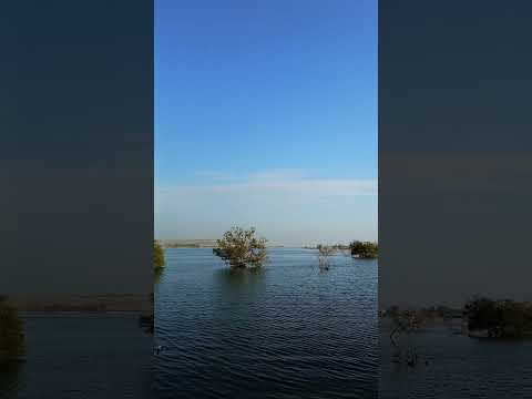 #travel #trending #nature #trendingshorts #trendingshorts