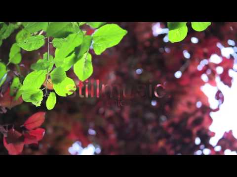 Aiming High - Martin Landh