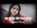 Dil Mera Tod Diya Usne Slowed Reverb