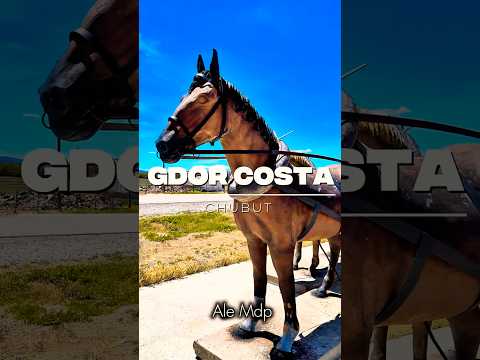 Gobernador Costa 😀 Chubut 🇦🇷 07/12/25- 4K homenaje a los 100 años del pueblo!!!