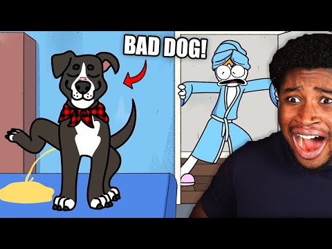 HAMINATIONS DOG IS A CRIMINAL!
