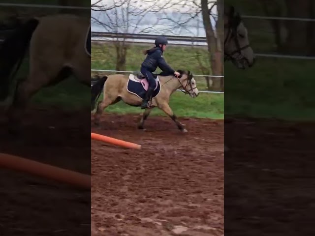 Super poney d'enfants 
