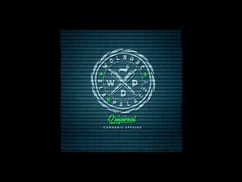 Gizmo WDPunk Rock - Jestem Pojebańcem