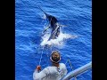 Australia S First Grander Blue Marlin 1089lb Exmouth Western Australia