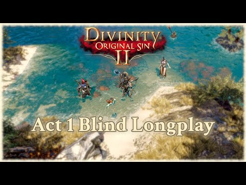 Divinity Original Sin 2 - Act 1 │ First Playthrough │ Longplay With Commentary 4k