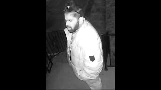 Man sought in prowl by night investigation,  Pape Avenue and Torrens Avenue area