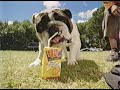 Hi C Juice Box Commercial 2000 Old Dog Learns New Tricks