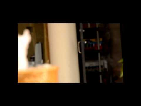 Fresh Senses of Spring (JaniDJ's short video)