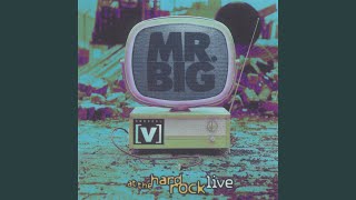 Download lagu Green-Tinted Sixties Mind mp3