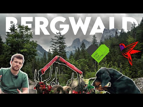 Ist die Natur unser Spielplatz? Ein Besuch im Bergwald - Forst erklärt x Filmfestival Kufstein