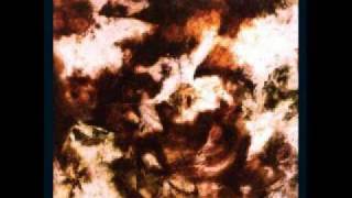 Salamander - Ithsmus