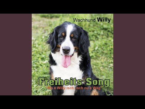 Freiheits-Song (Wo e Willy isch, isch ou e Wäg)