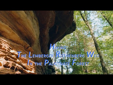 Lemberger Rothenberg Weg - Half-day hike in Germany's Palatinate Forest