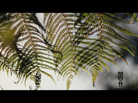 Rancido & MoBlack - Forever