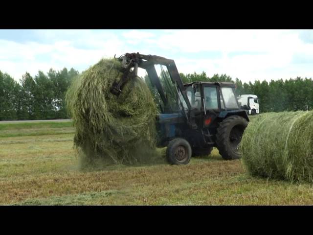 Новости ТРК "Буа дулкыннары" 10.06.16 (видео)