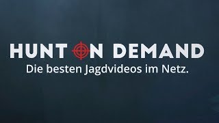 HUNT ON DEMAND - Die besten Jagdvideos im Netzt - JETZT ANMELDEN!