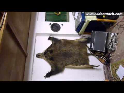 Bezestopy - Teta Běta