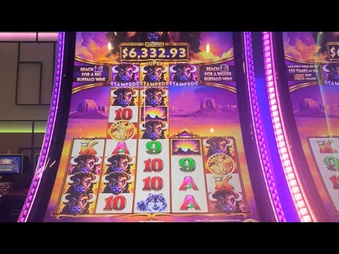 Finally a buffalo runner gave me a super stampede