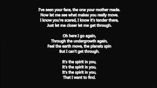 Autism Heather Nova - Spirit In You