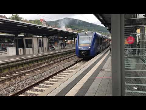 Vlexx Elsass Express | Lint 81