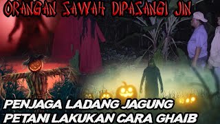 Download lagu BONEKA KEBUN RUMAH TINGGAL KUNTILANAK-JERITAN TERDENGAR SETIAP MALAM mp3