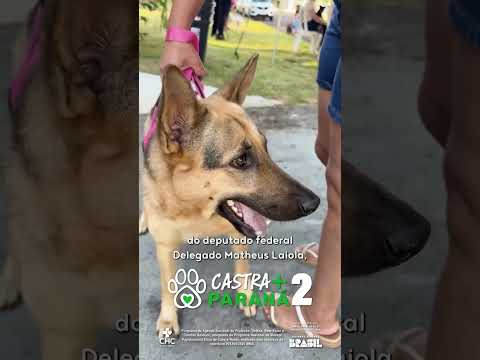 O ônibus do Castra+Paraná 2 chegou a Medianeira!