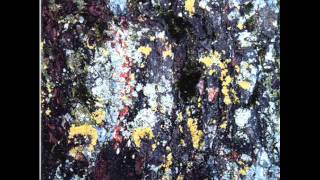 The Tear Garden - Good Evening Houston / Good Night Little Lights