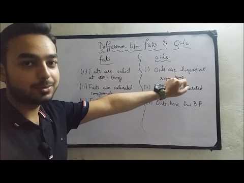 download lagu mp3 mp4 Fat Oil, download lagu Fat Oil gratis, unduh video klip Fat Oil