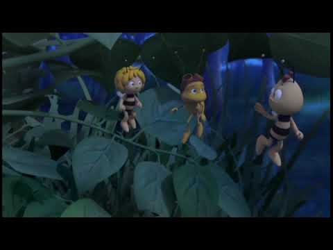 Včelka Mája 14 Noční květina