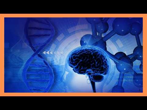 Friday night interview | Autism caregiving challenges