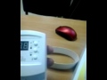 ZUBR R116у - видео
