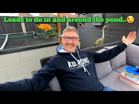 KOI FISH POND*WATER TESTS*NEW POND SYNDROME IDEAS*JOBS AROUND THE POND*VOTEX TRIAL No2*ADDING FOK😉👍
