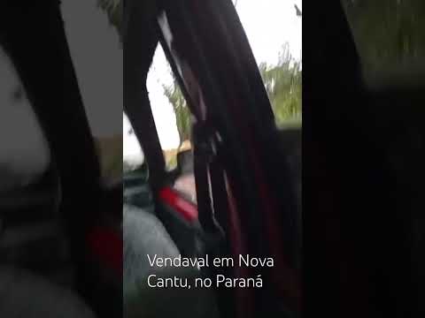 VENDAVAL ATINGE NOVA CANTU E DERRUBA ÁRVORES NA NOITE DE DOMINGO #paraná