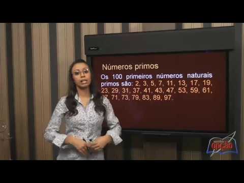 Vídeo Aula Apostila Opção