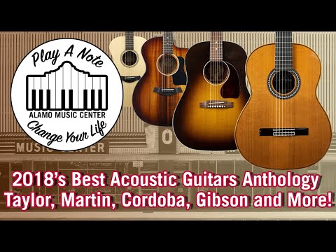2018's Best Acoustic Guitar Anthology! Taylor, Martin, Ovation, Breedlove, Gibson and More!