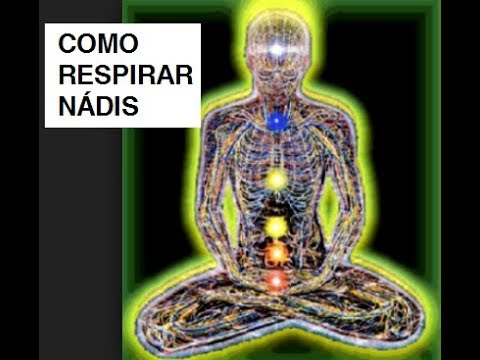 download lagu mp3 mp4 Nadis Ida Y Pingala, download mp3 Nadis Ida Y Pingala free download mp3, download mp3 Nadis Ida Y Pingala