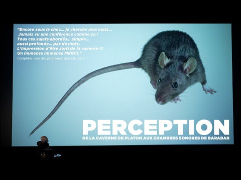 PERCEPTION (PART1) : COMMENT UNE ENQUÊTE SUR LE PASSÉ A CHANGÉ MA VISION DU PRÉSENT.