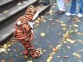 Aidan Halloween 2009