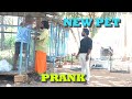 NEW PET  Prank | Prankster Rahul Azar | 224
