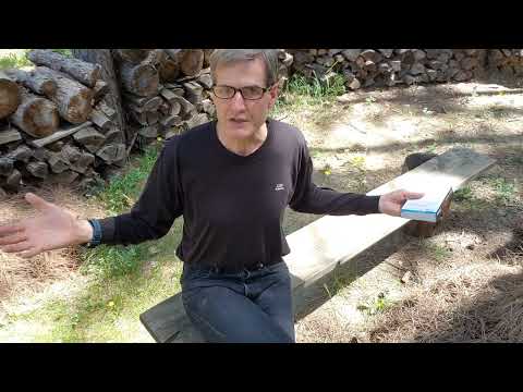 Linguistic Meditations in Nature