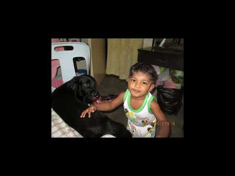 please show 🙏 🫡