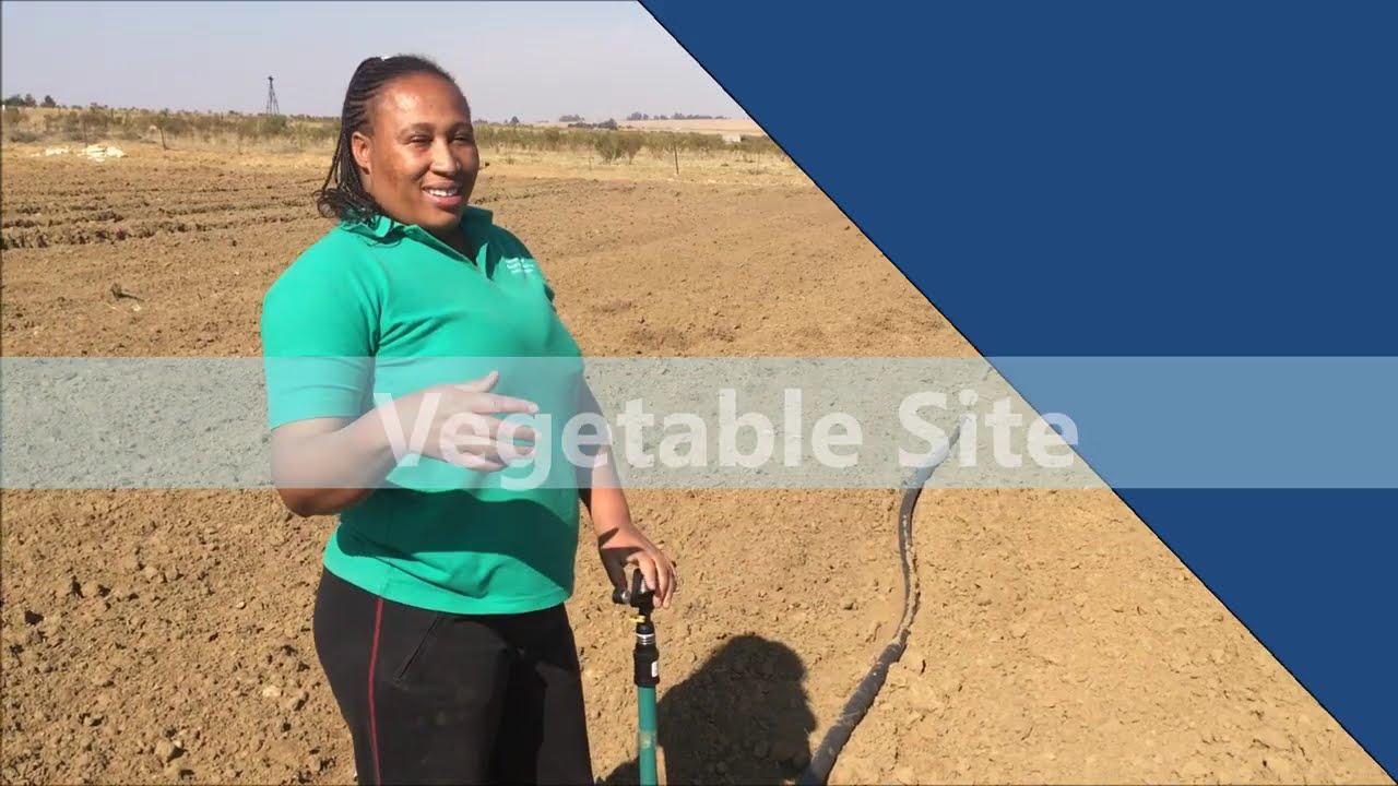 Bontle Mosweusweu success story