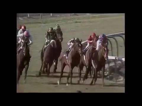 1986 Breeders' Cup Turf - Manila